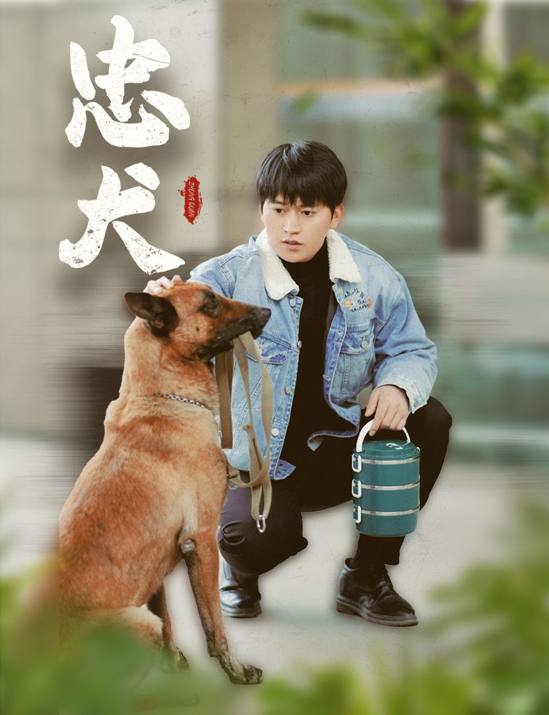 忠犬