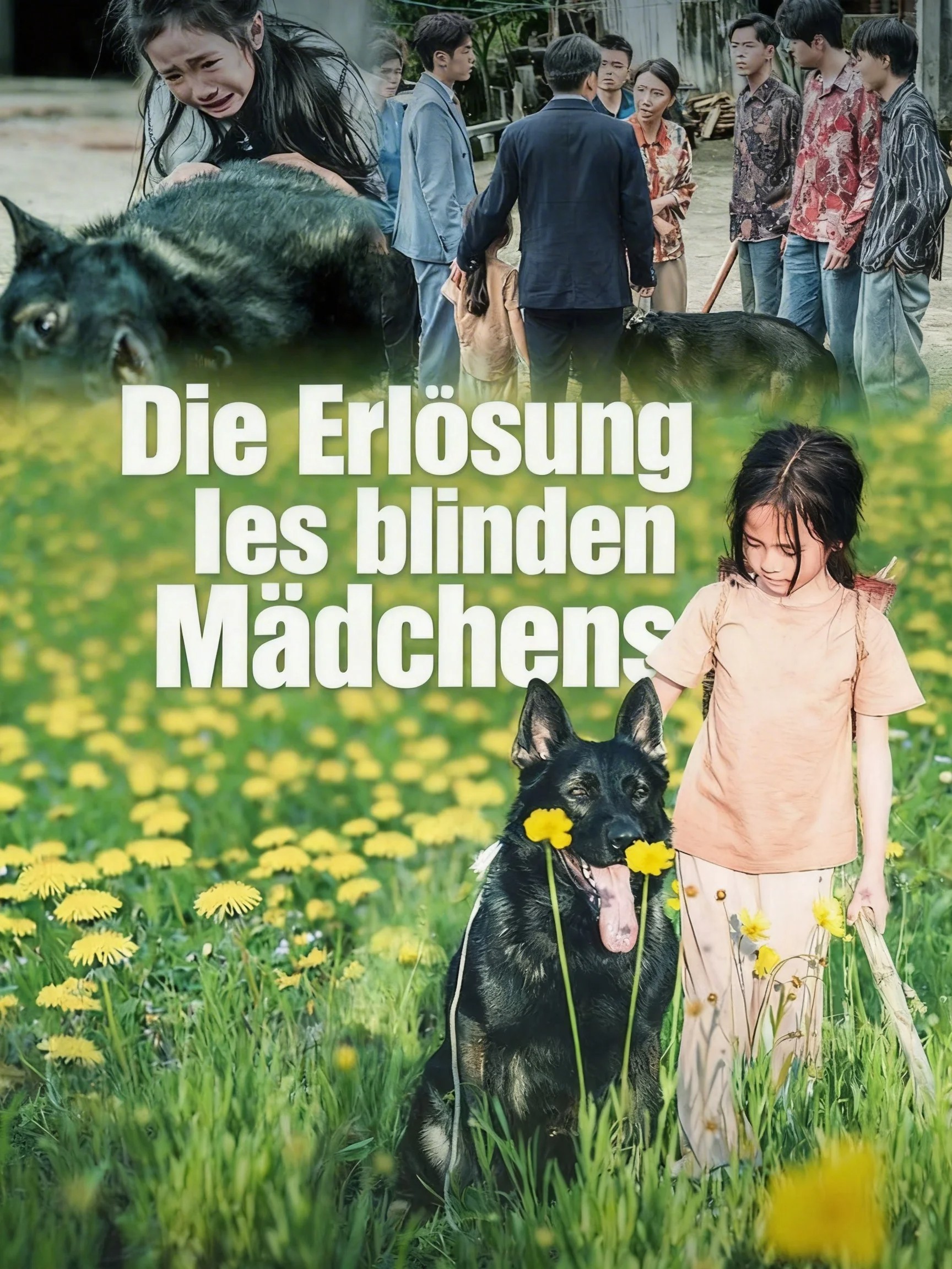 Die Erlösung des blinden Mädchens