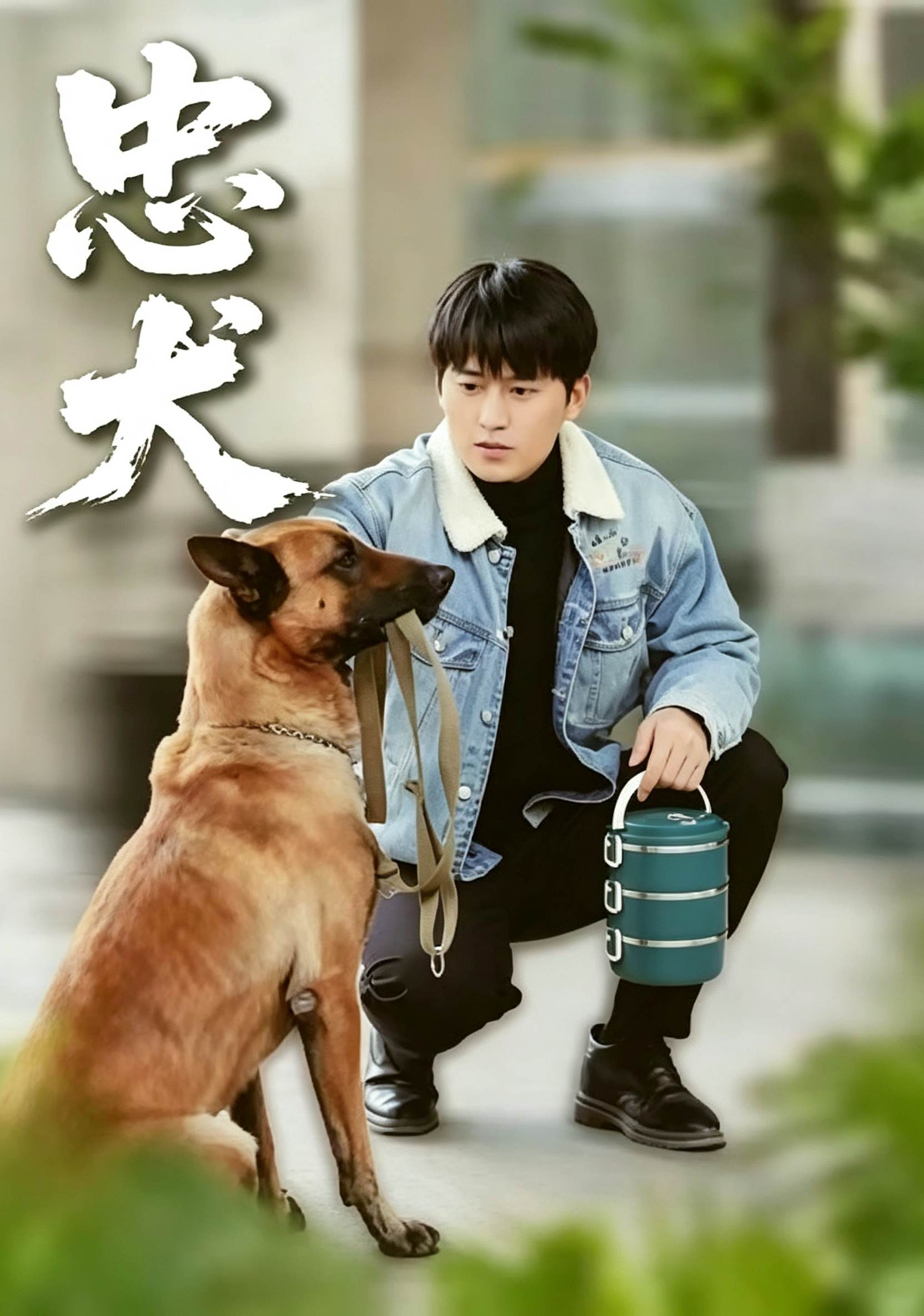 忠犬